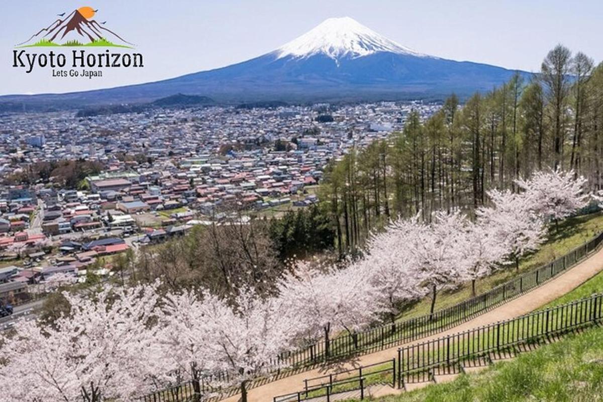 a view of a snowy mountain withakura trees in the foreground