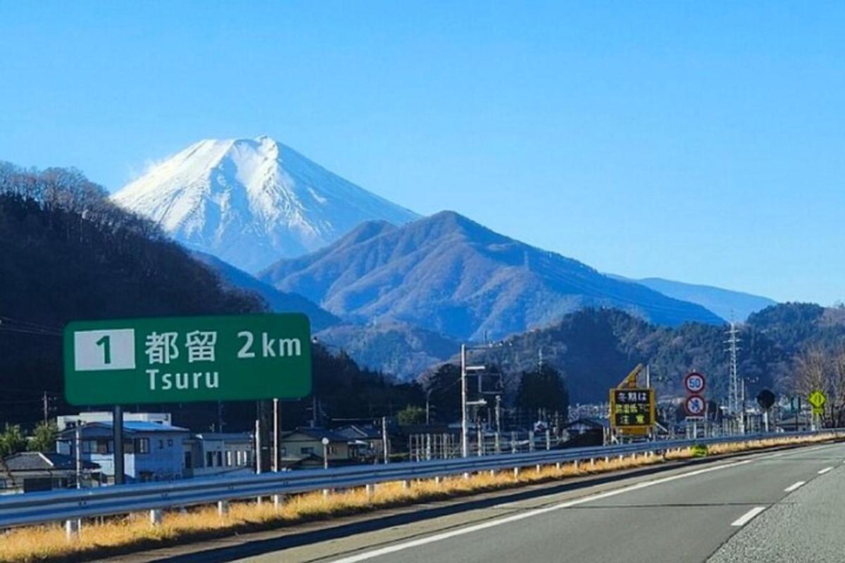 a sign on a highway with a mountain in the background