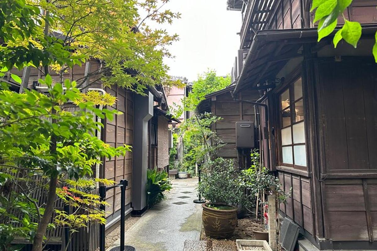 an alley with trees and plants in a building