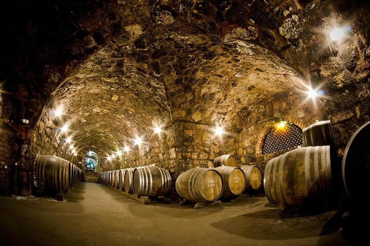 a row of wine barrels in a tunnel with lights