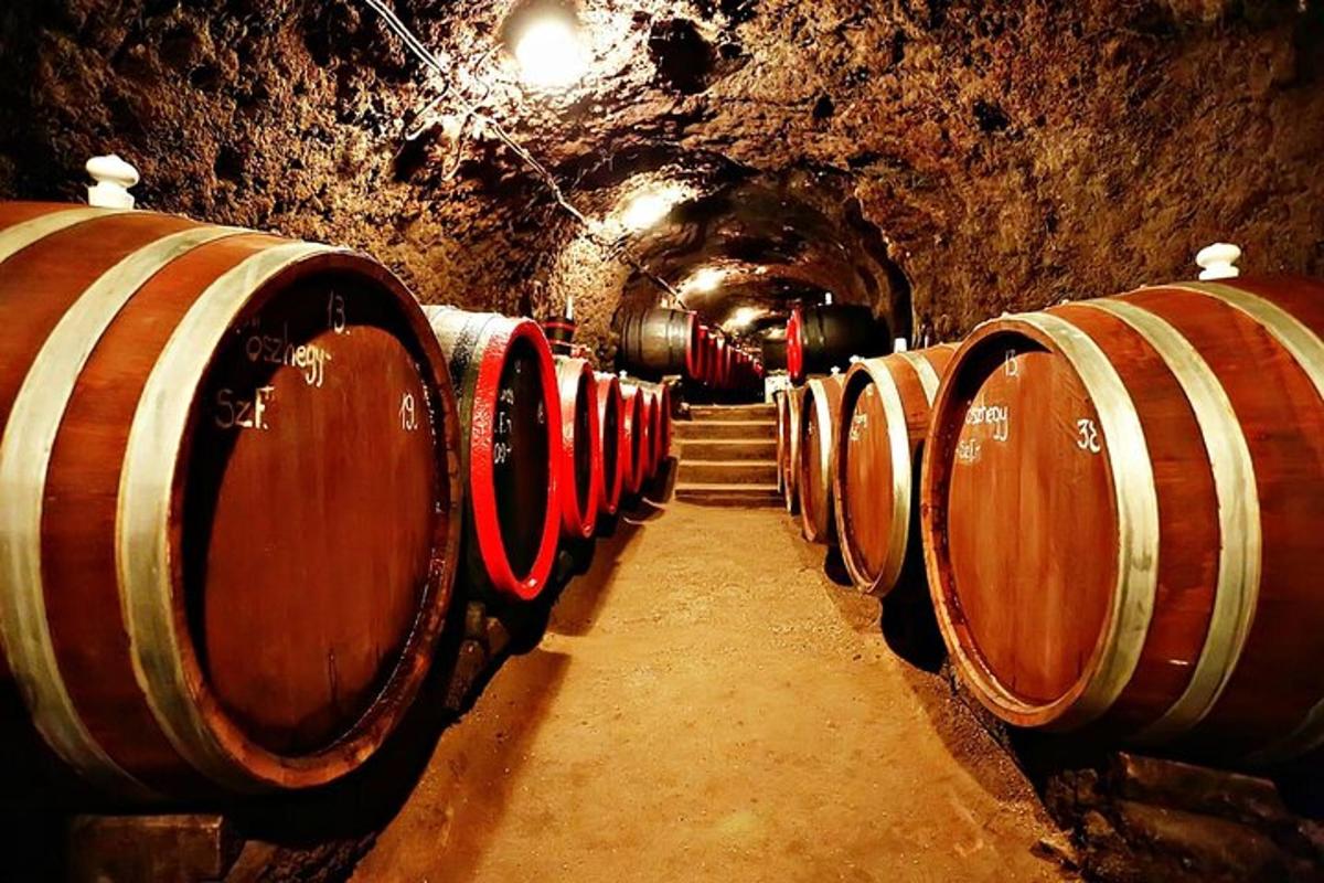 a row of wine barrels in a cellar