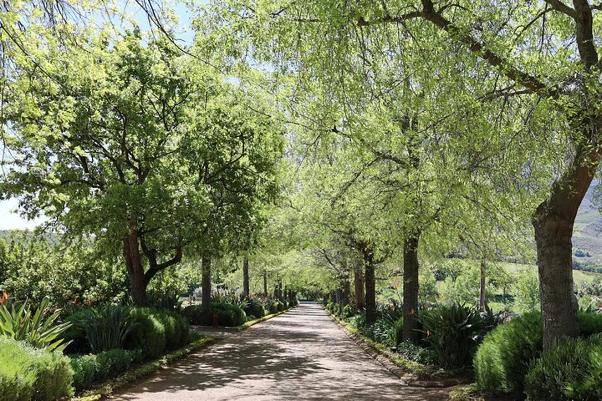 jalan yang dibarisi pokok dengan semak dan pokok