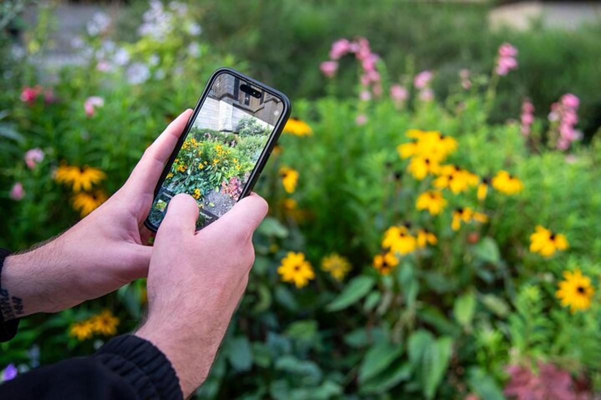 a person taking a picture of flowers with a cell phone