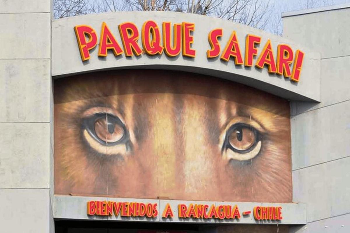 Velká cedule pro paracco saarf s okem
