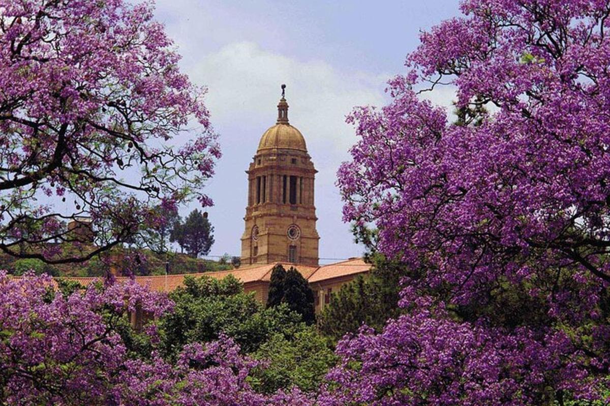 a building with a clock tower with purple trees