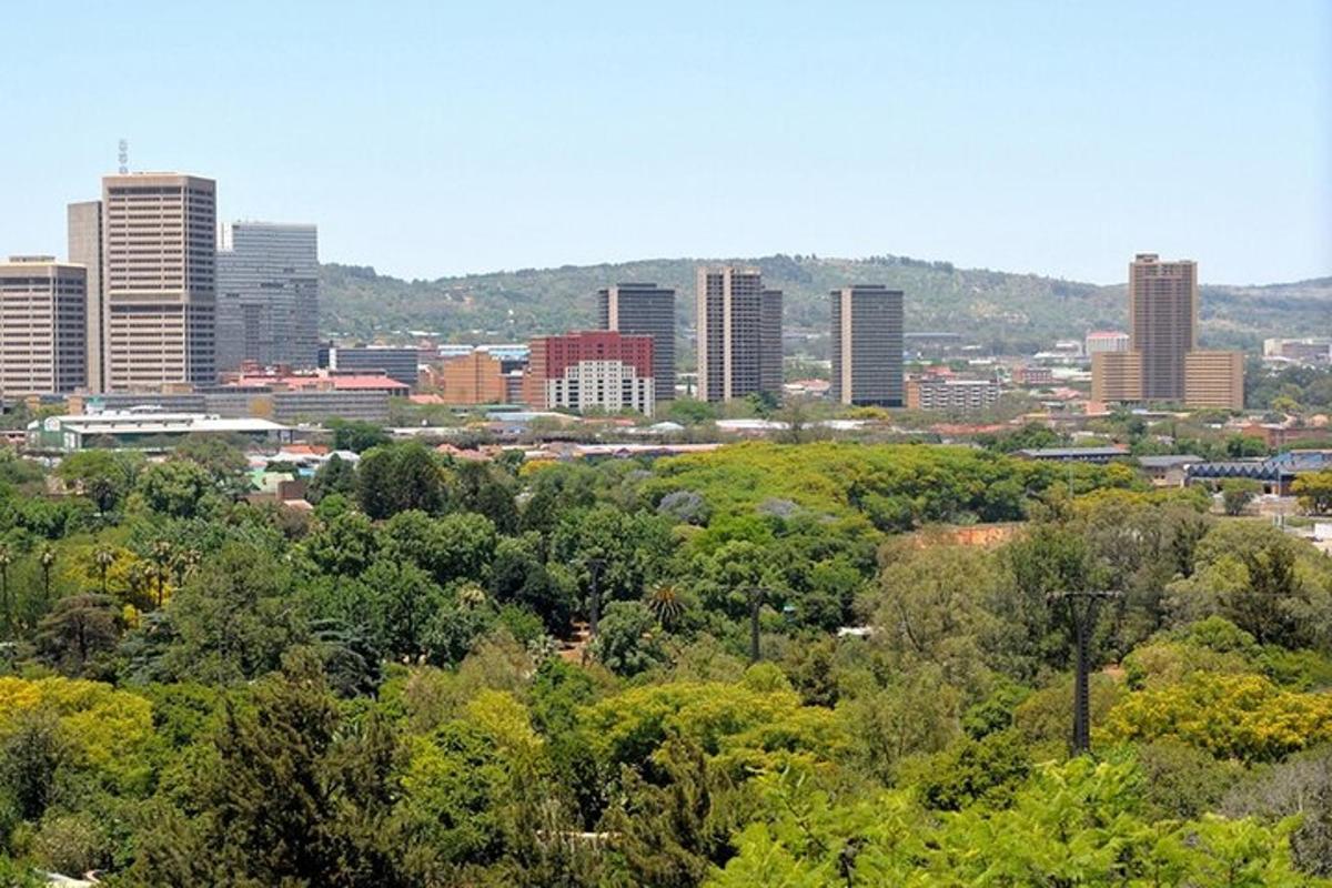 a cityscape of a city with tall buildings and trees