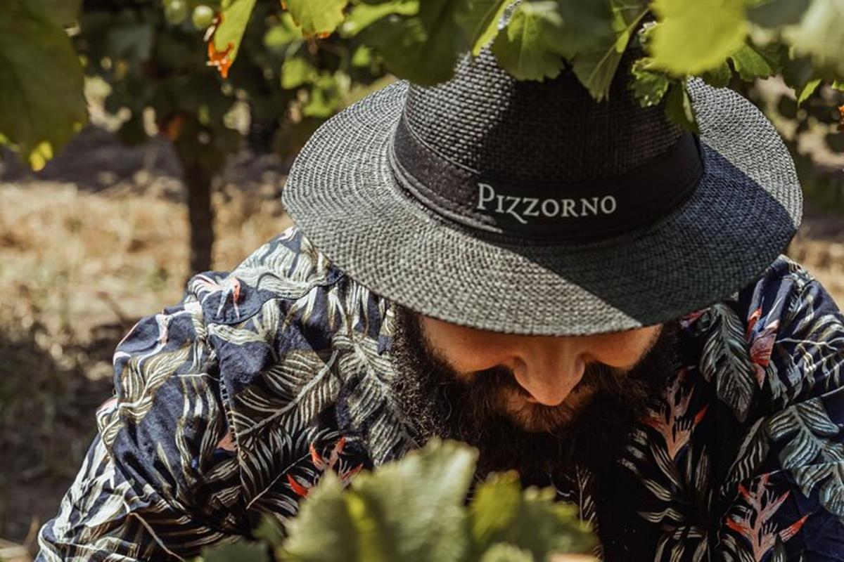 un uomo con la barba che indossa un cappello