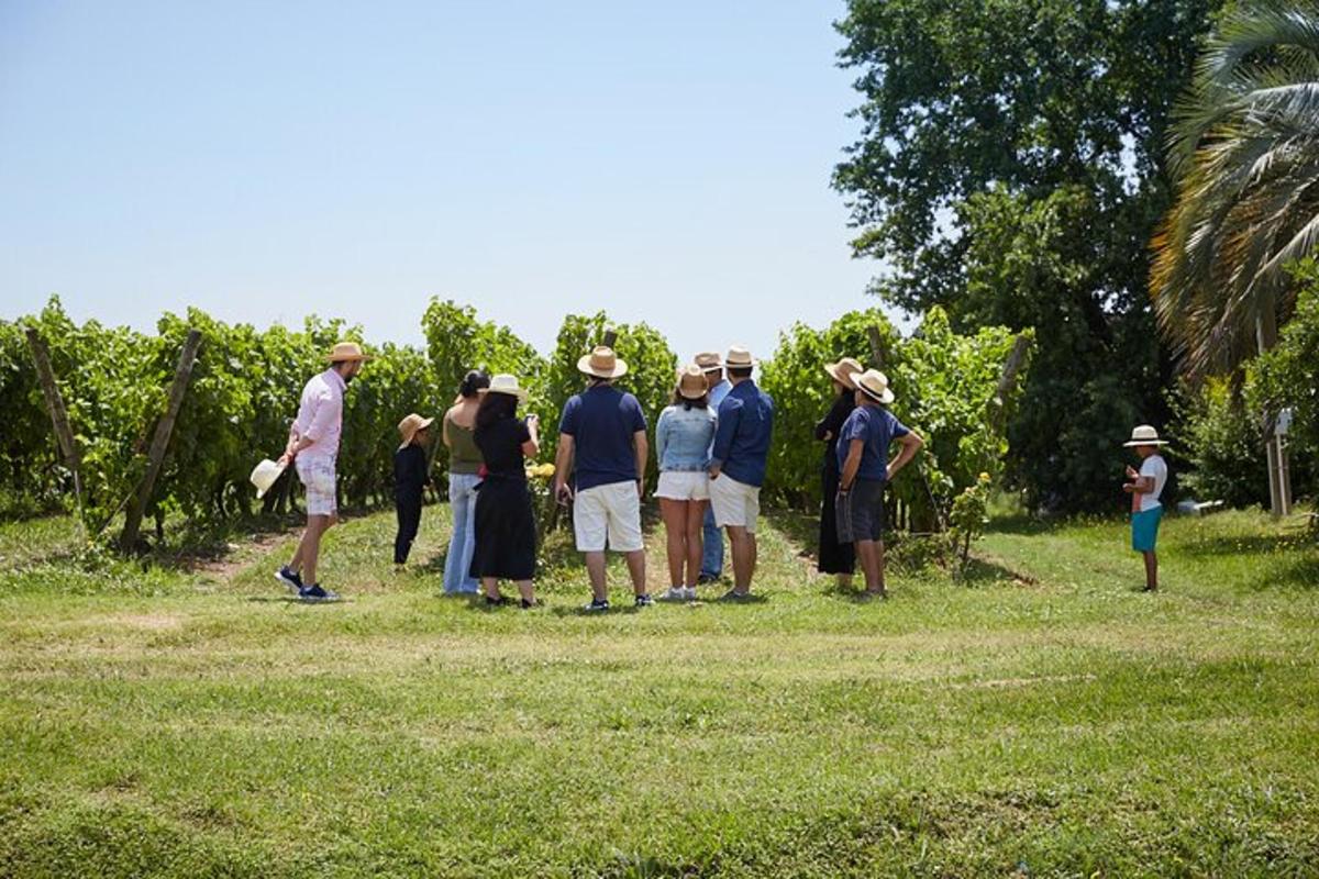 un gruppo di persone in piedi in un campo