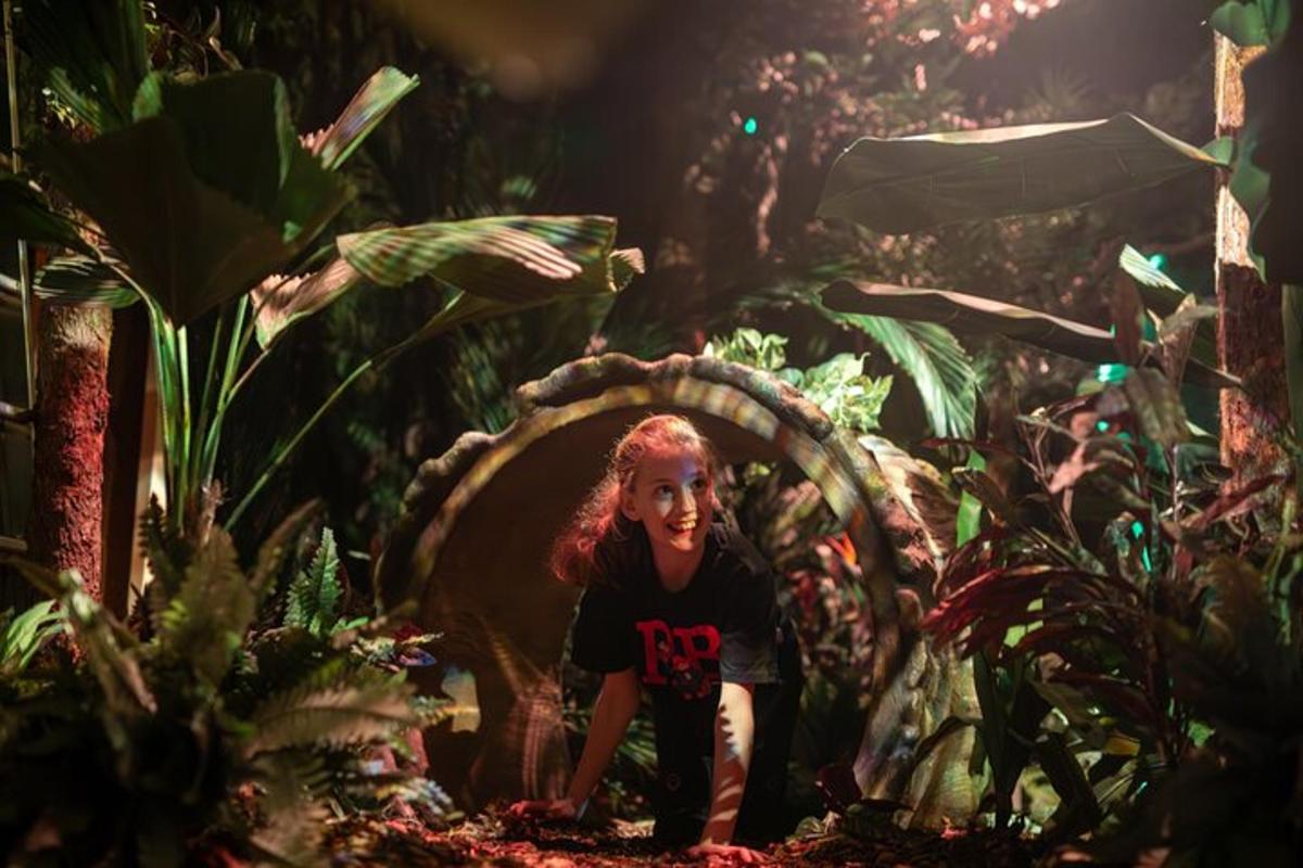Attraction picture 7