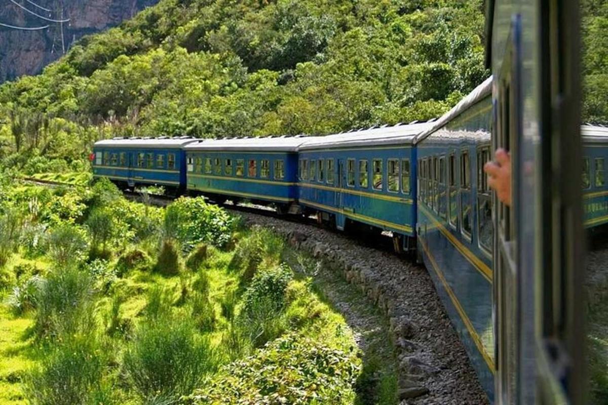 Un tren azul viaja por las vías