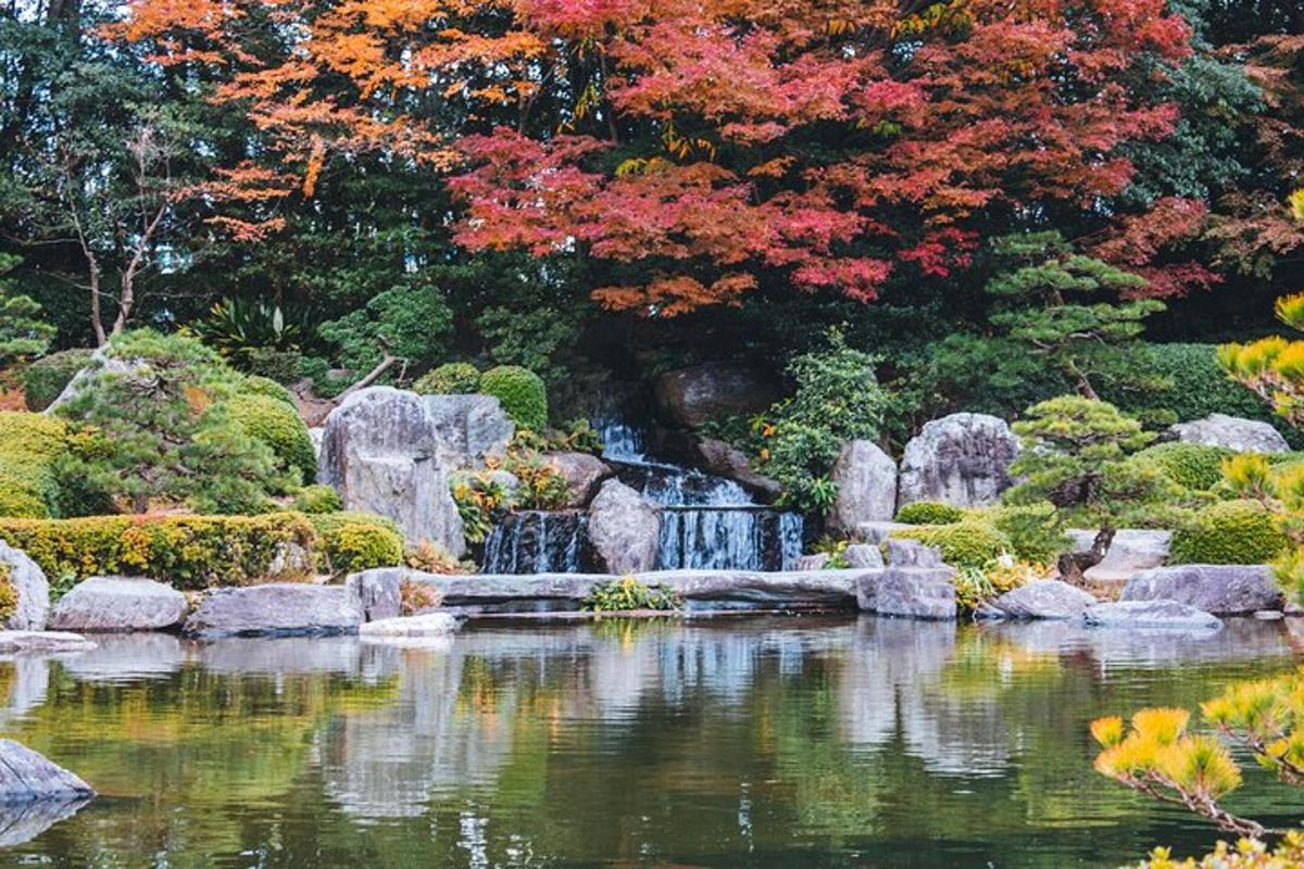 a garden with a pond and a waterfall and trees