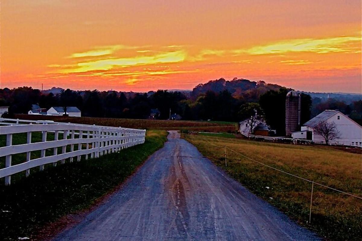a dirt road in the middle of a field with a sunset