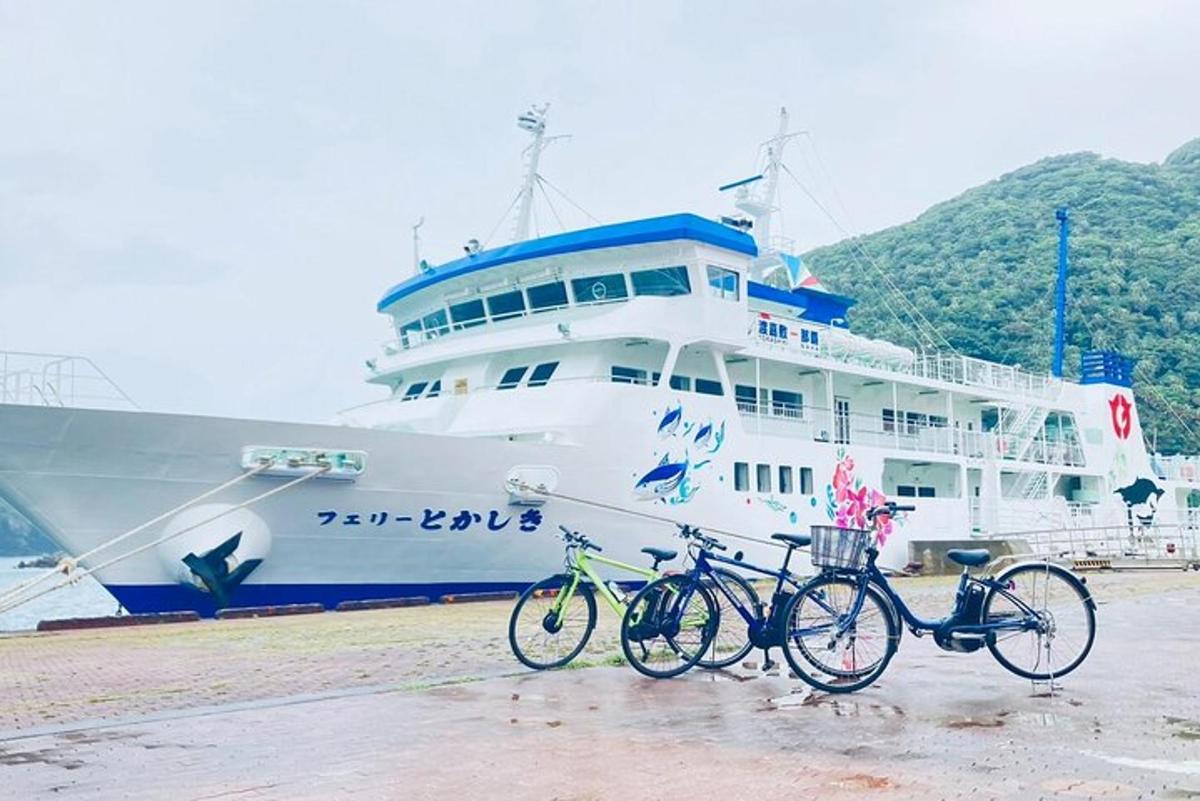 two bikes parked in front of a cruise ship