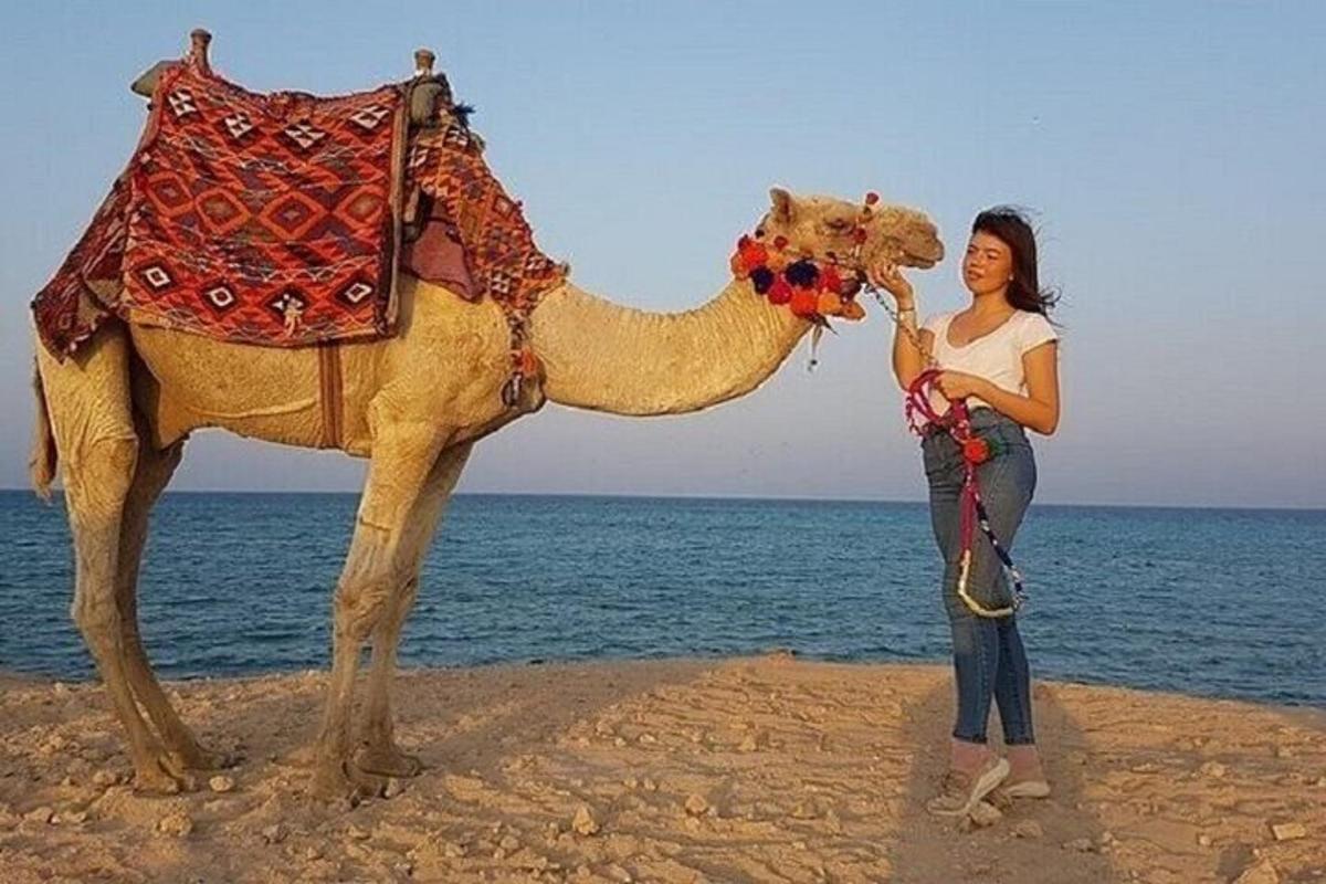 a woman standing next to a camel on the beach