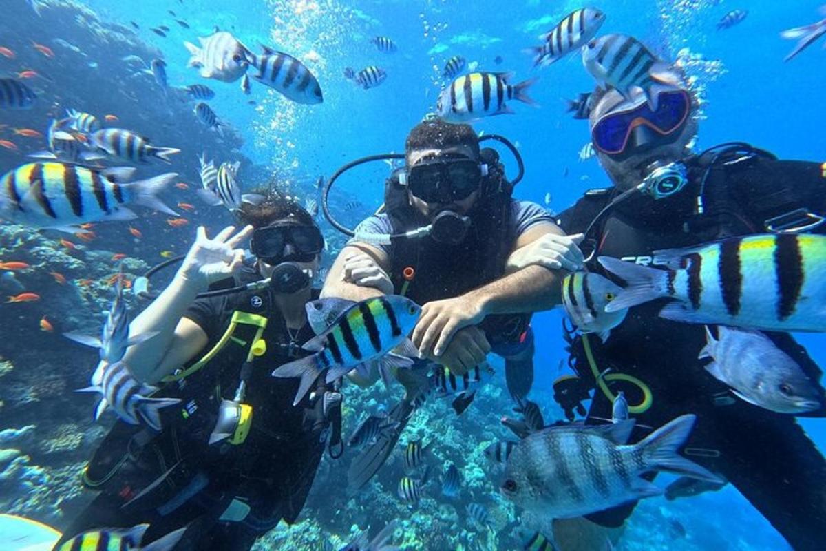 a group of people in the water with fish