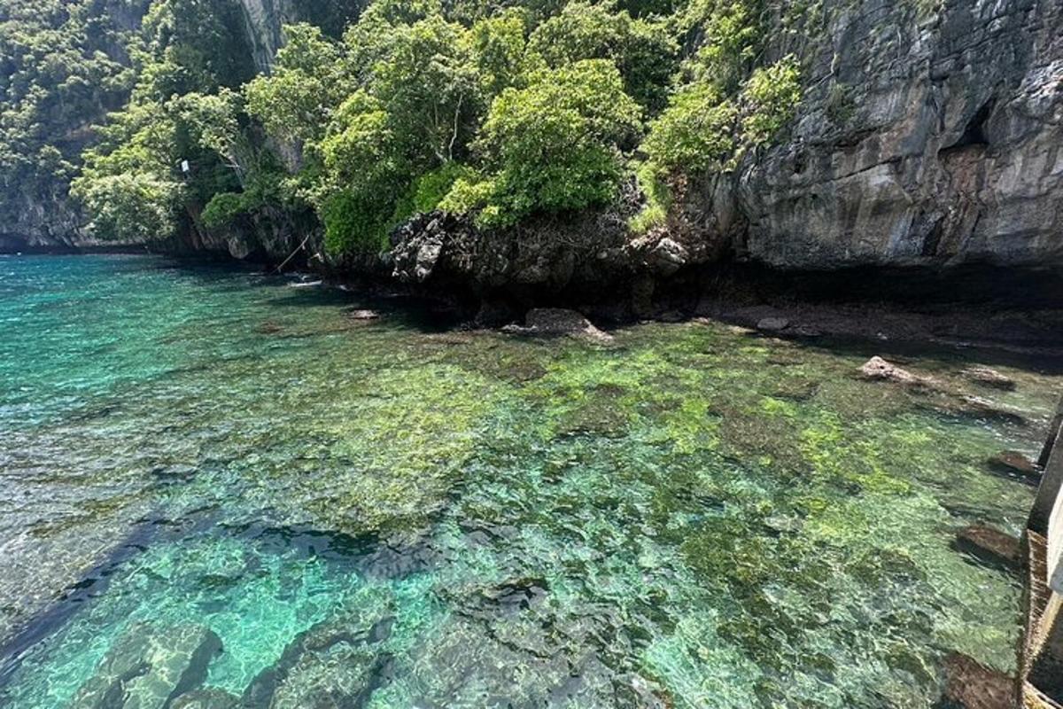 a large body of water with rocks and trees
