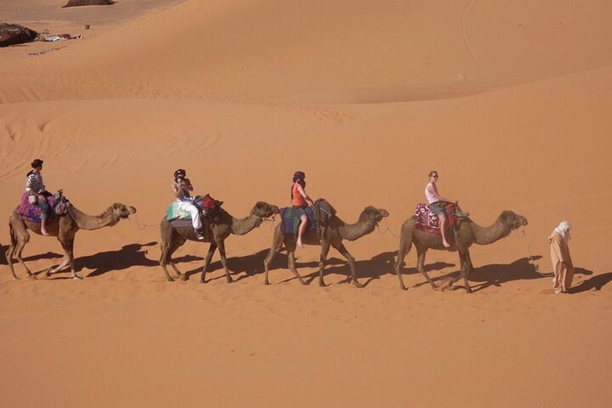 skupina lidí jedoucích na velbloudech v poušti