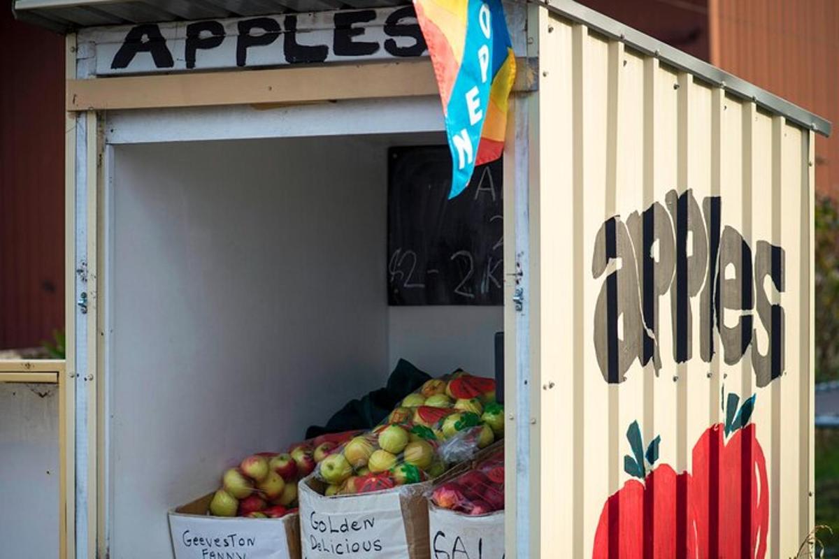 o tarabă cu fructe, cu mere în cutii