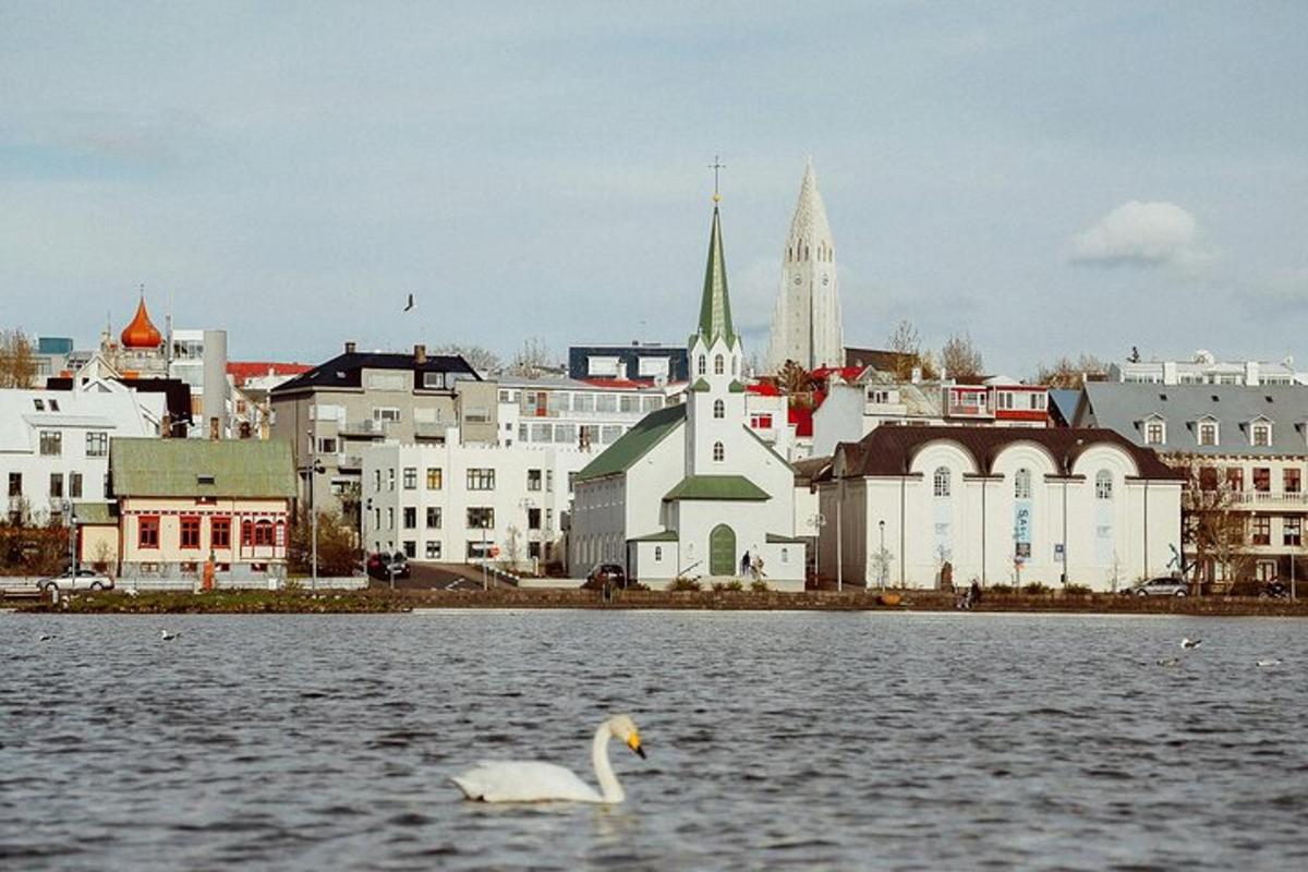 Un cisne nadando en el agua frente a una ciudad.