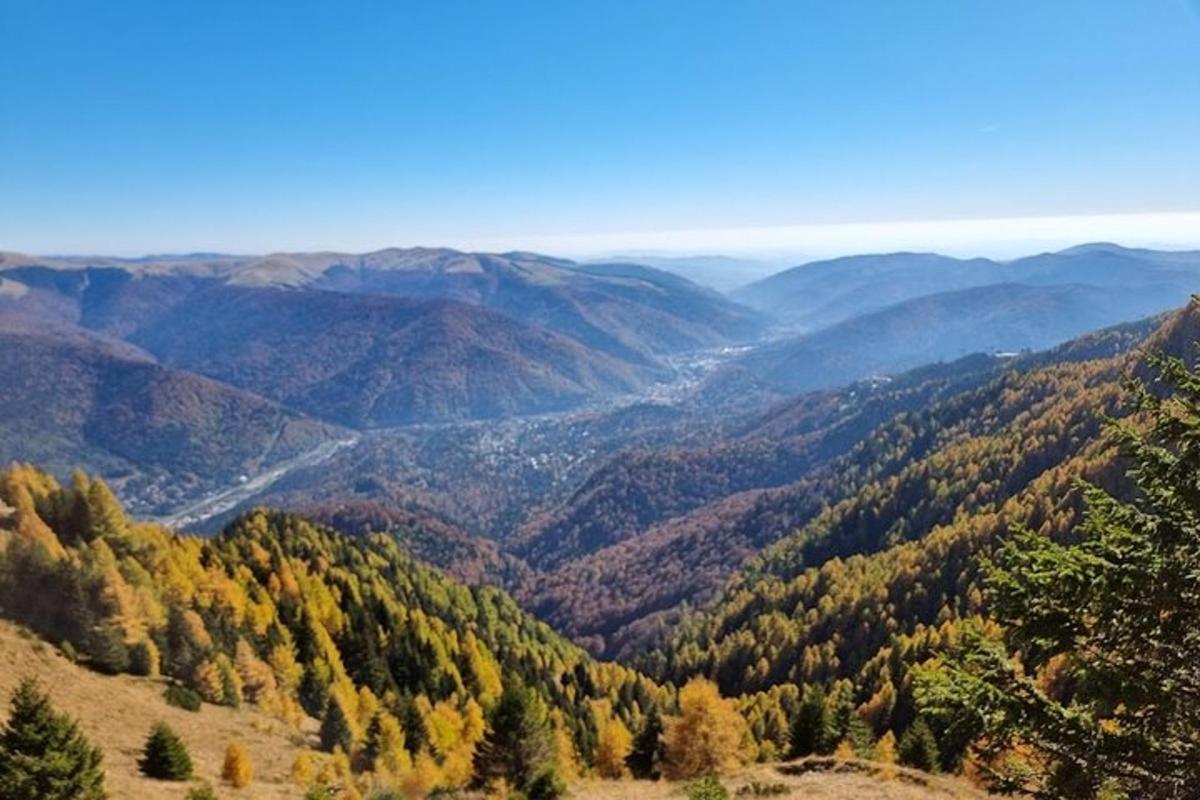 a view of a valley with trees and mountains