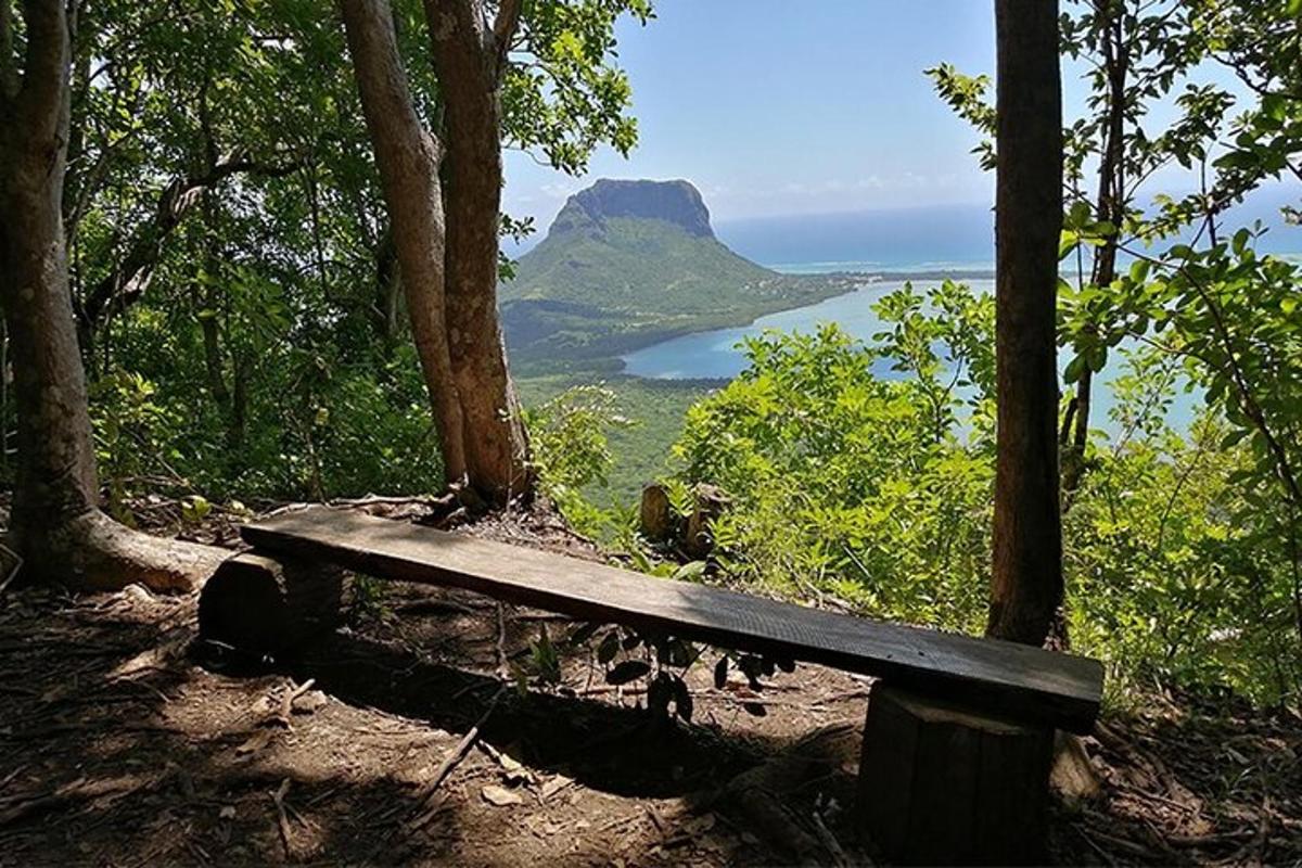 una panchina di legno posta in cima a una collina
