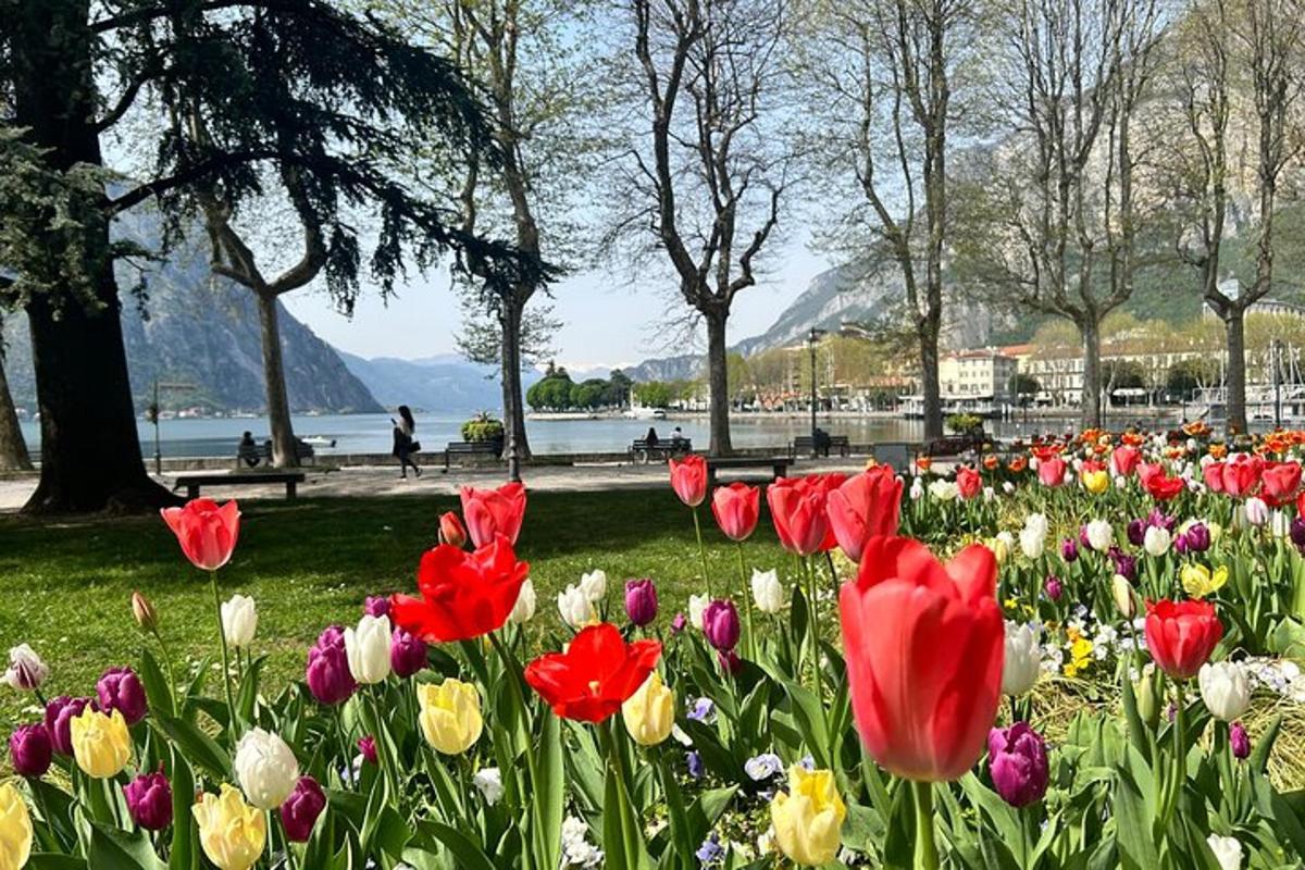 a field of red and yellow tulips in a park
