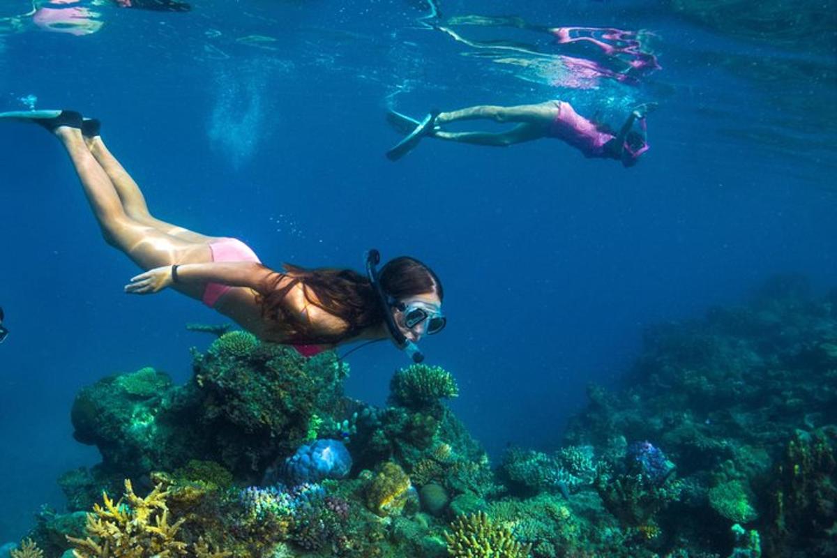 two people swimming in the ocean near a coral reef