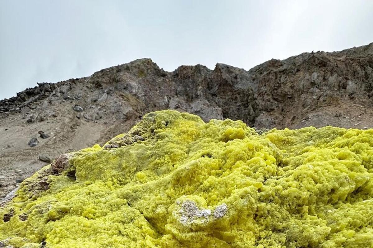 a pile of green moss on top of a mountain