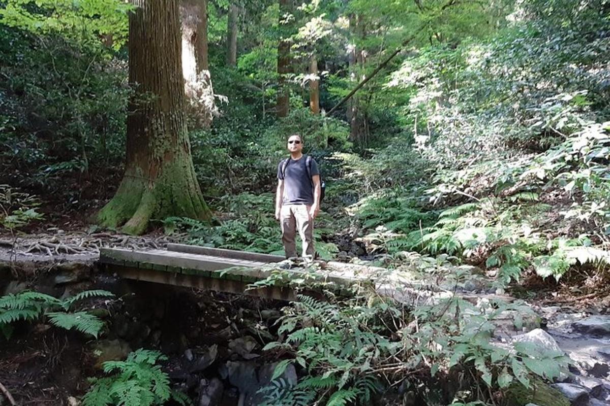 seorang lelaki berdiri di atas jambatan di dalam hutan