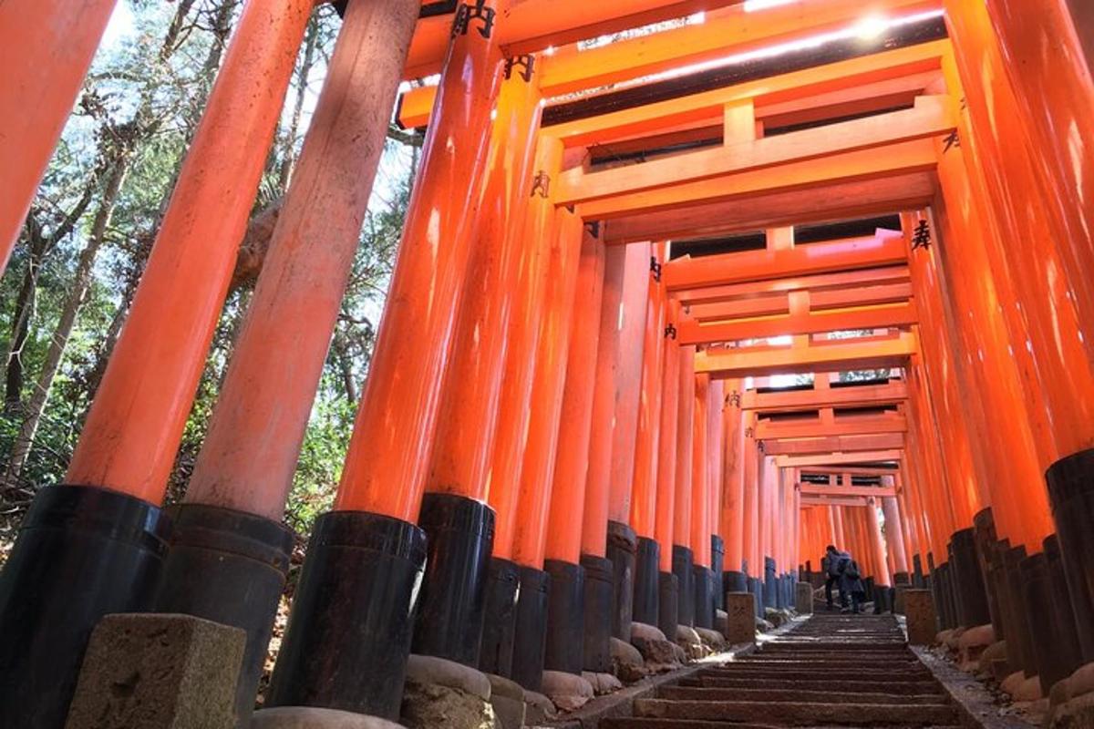 egy sor narancssárga torii kapu egy szentélyben