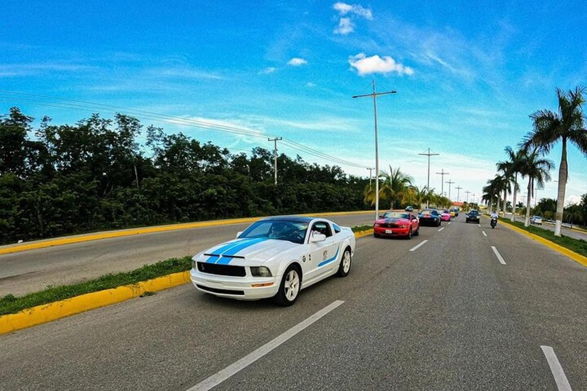 bílé a modré auto jedoucí po dálnici