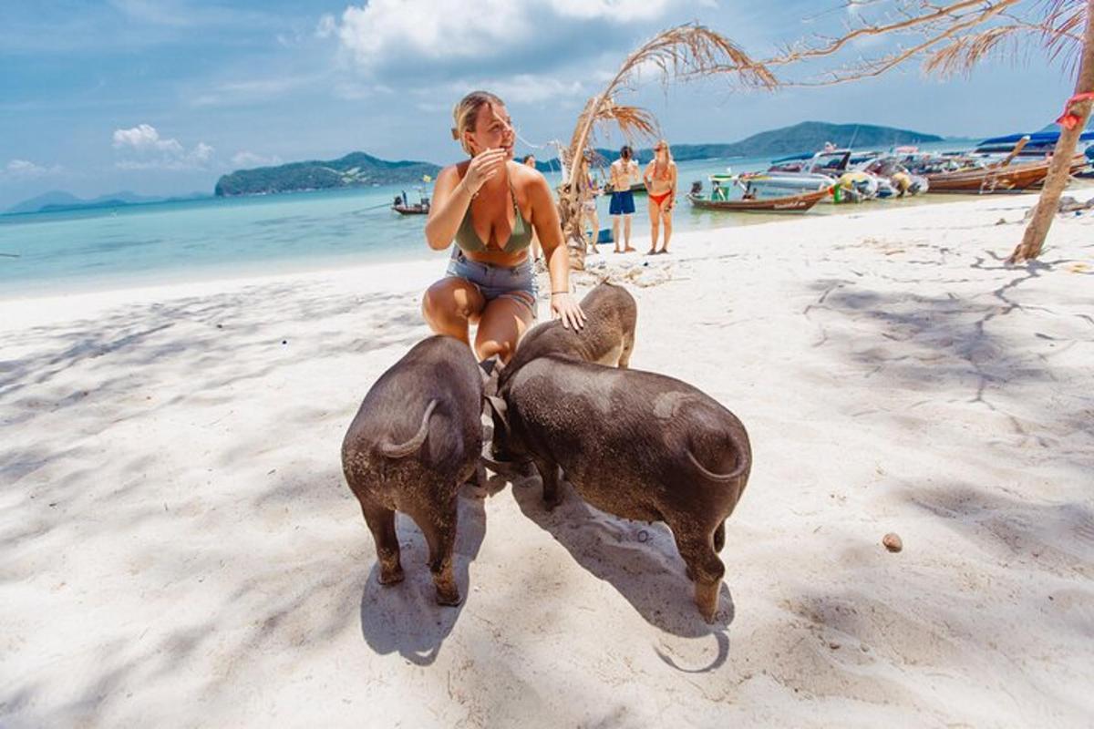en kvinne som rir på ryggen av en elefant på en strand