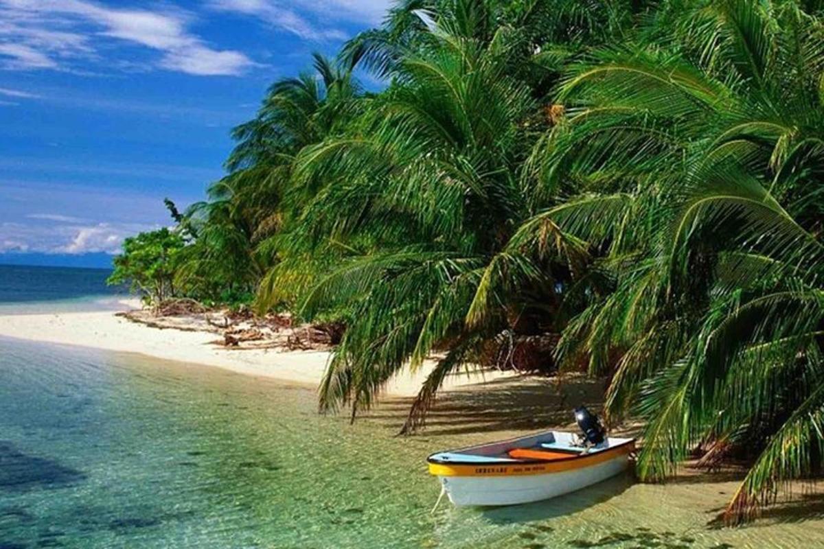 a boat sitting on a beach with palm trees