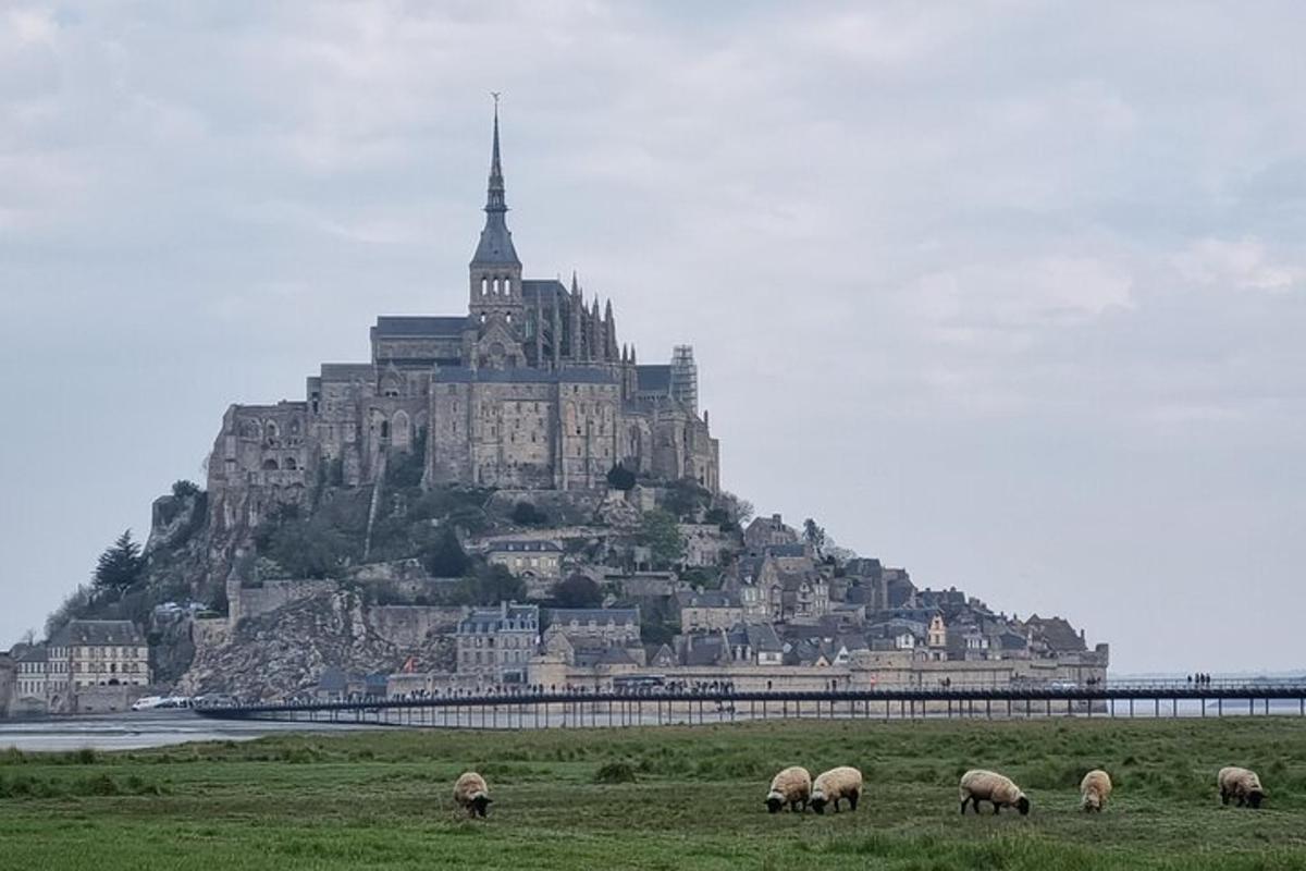 a herd of sheep grazing in front of a castle