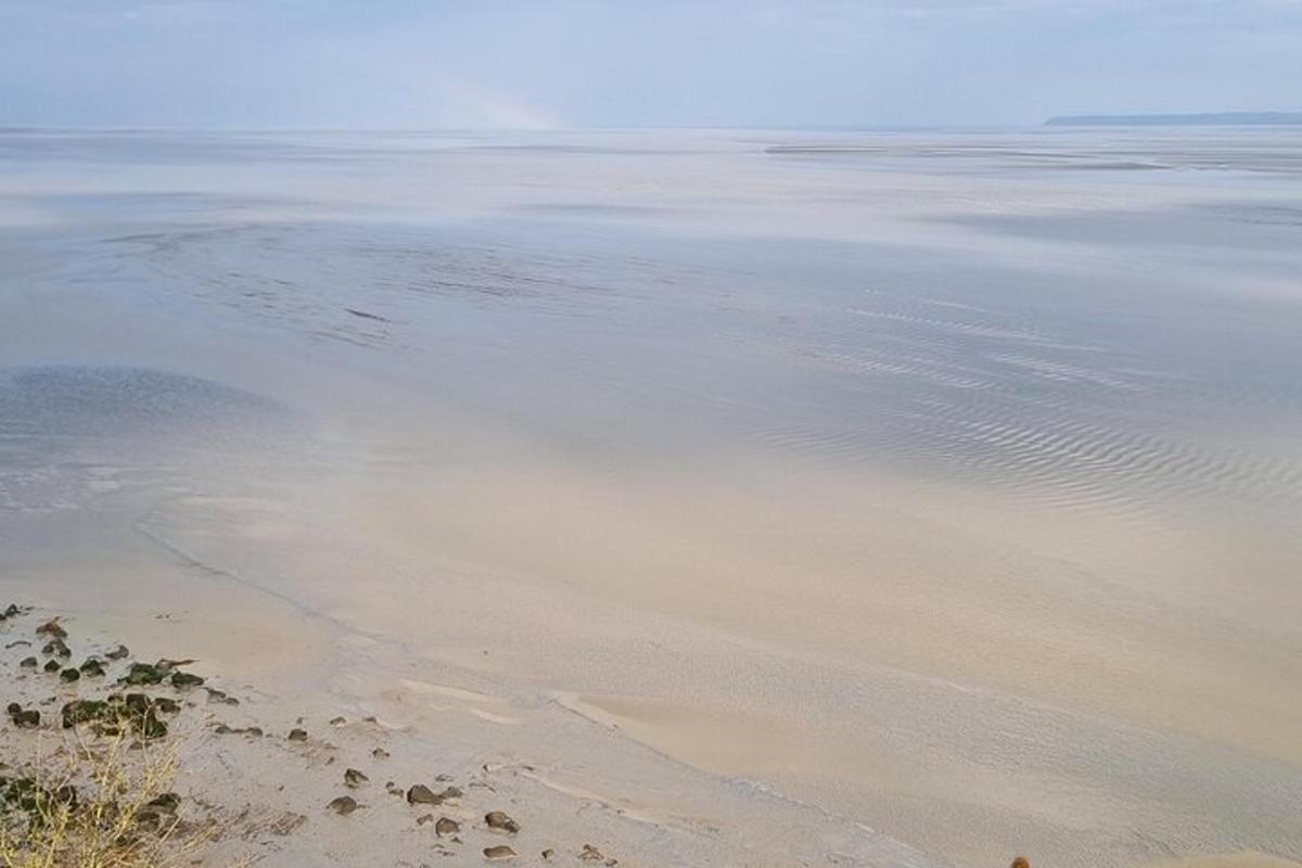 a view of the shore of a beach