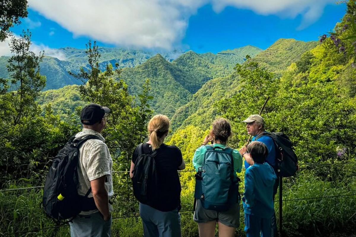 sekumpulan orang melihat gunung