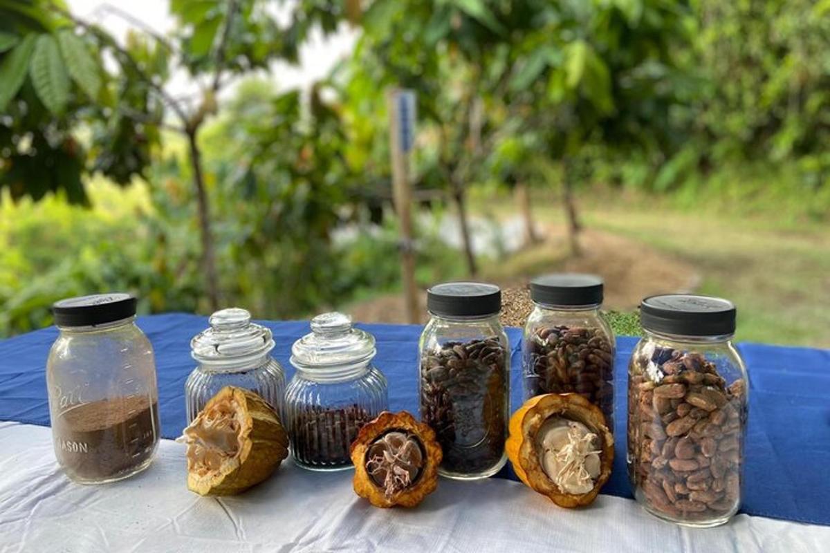 a group of jars of seeds and nuts on a table