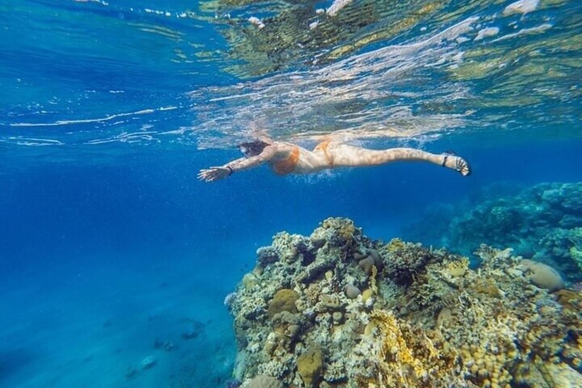 muž plave přes korálový útes v oceánu