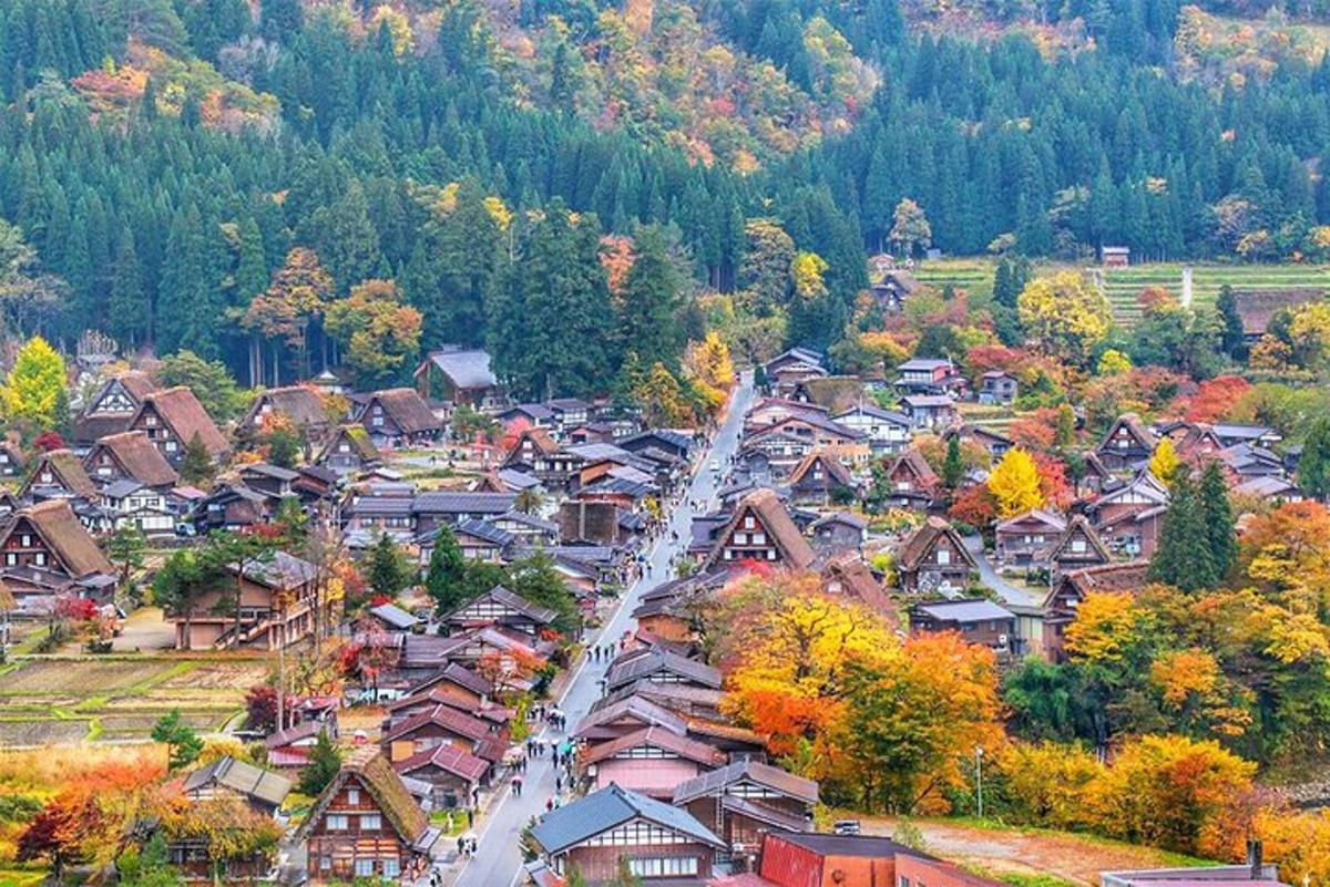秋天村庄的鸟瞰图