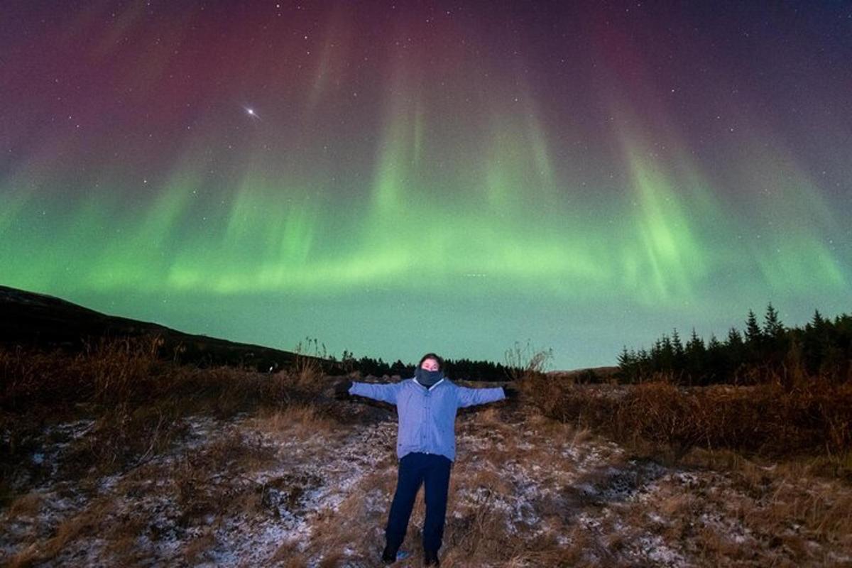 eine Person, die auf einem Feld unter dem Nordlicht steht