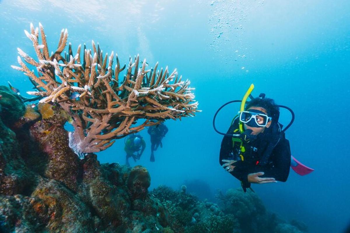 un uomo in muta da sub è sott'acqua accanto a una barriera corallina