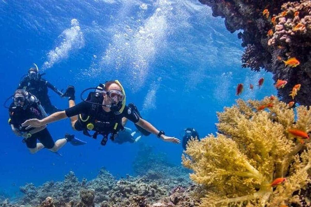 sekumpulan manusia berenang di atas terumbu karang