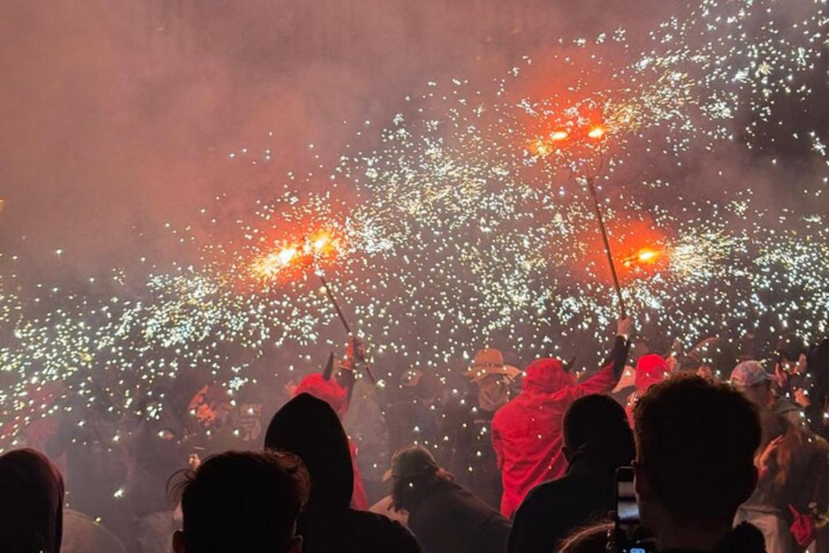 skupina ljudi, ki v množici gledajo ognjemet