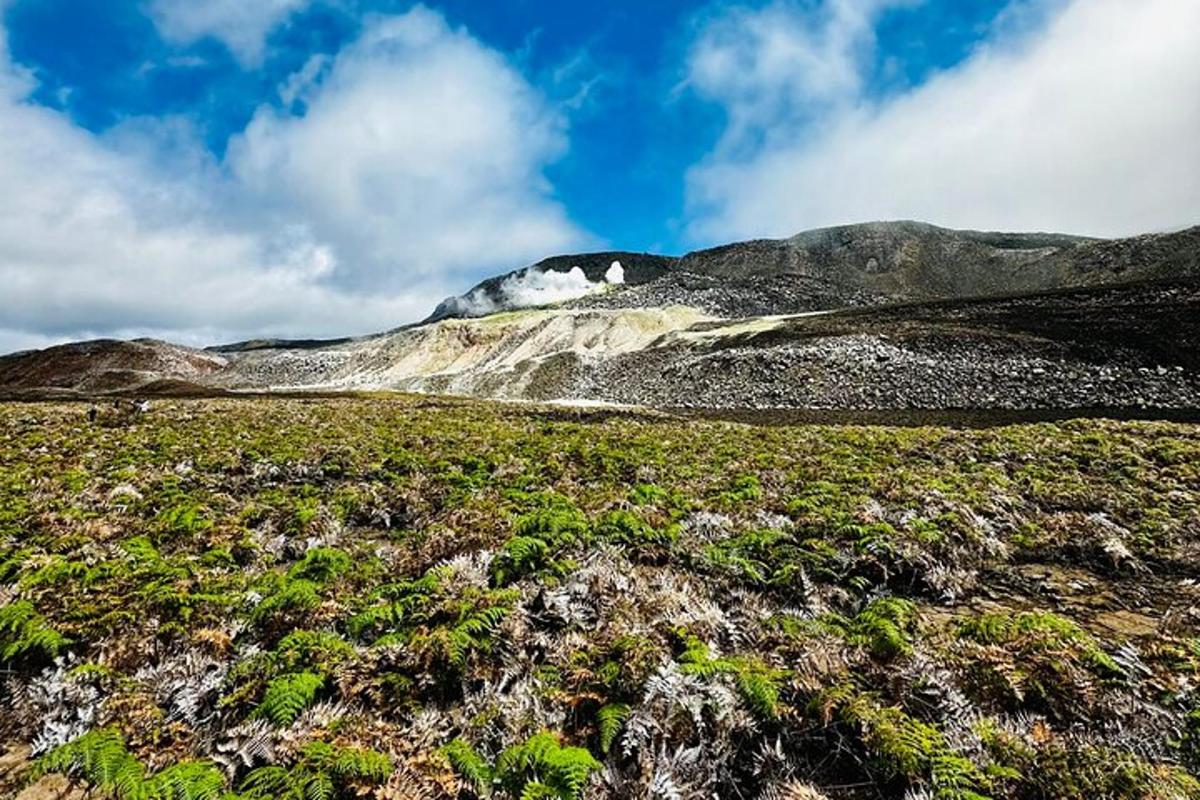 a mountain in the middle of a field