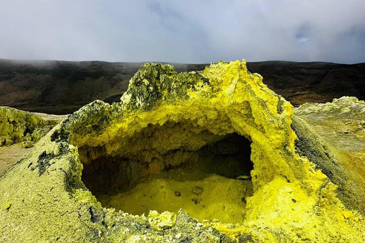 a rock covered in yellow moss on top of a mountain