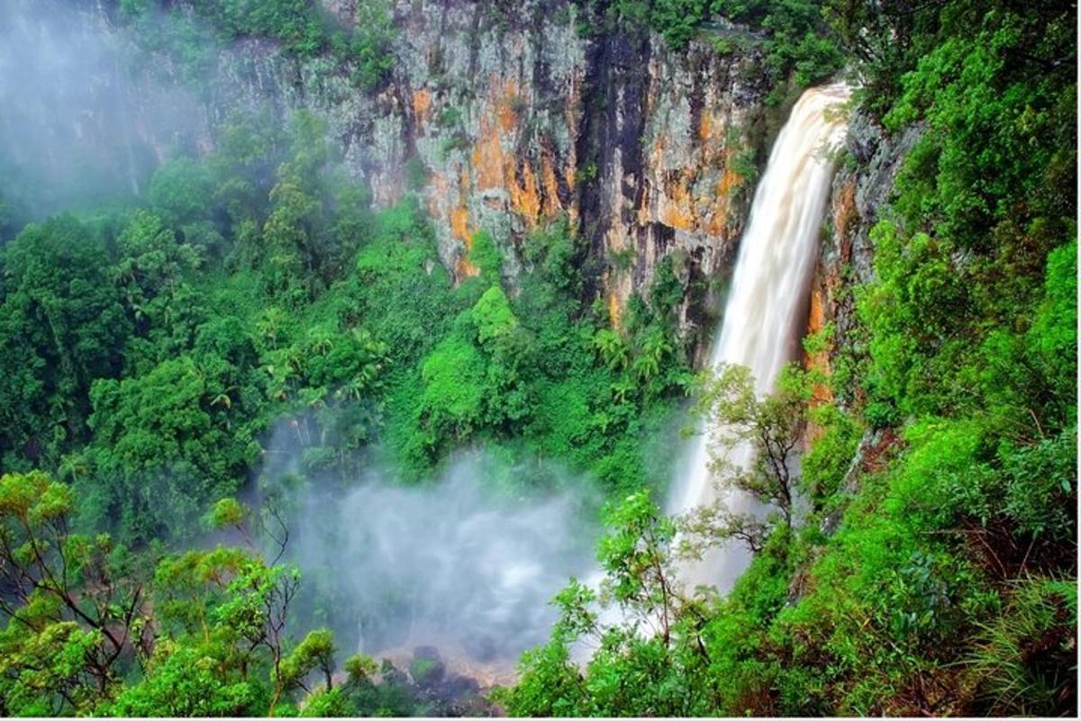 a waterfall in the middle of a forest
