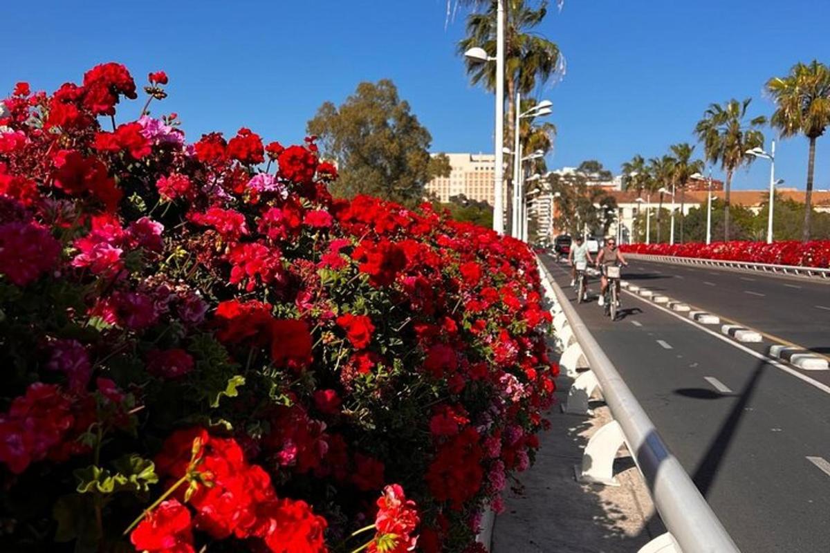 uma fileira de flores vermelhas na beira de uma estrada