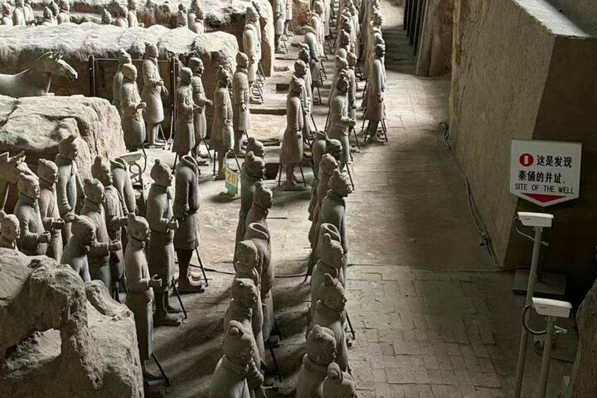 a group of statues are lined up in a room