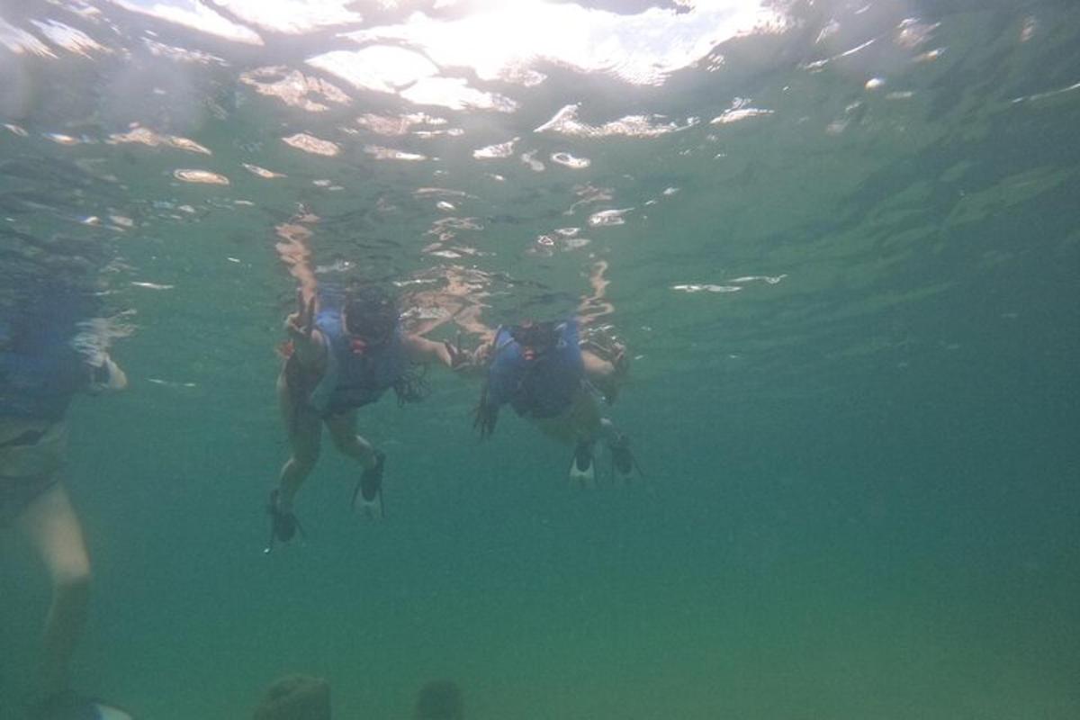 dos personas nadando en el agua del océano
