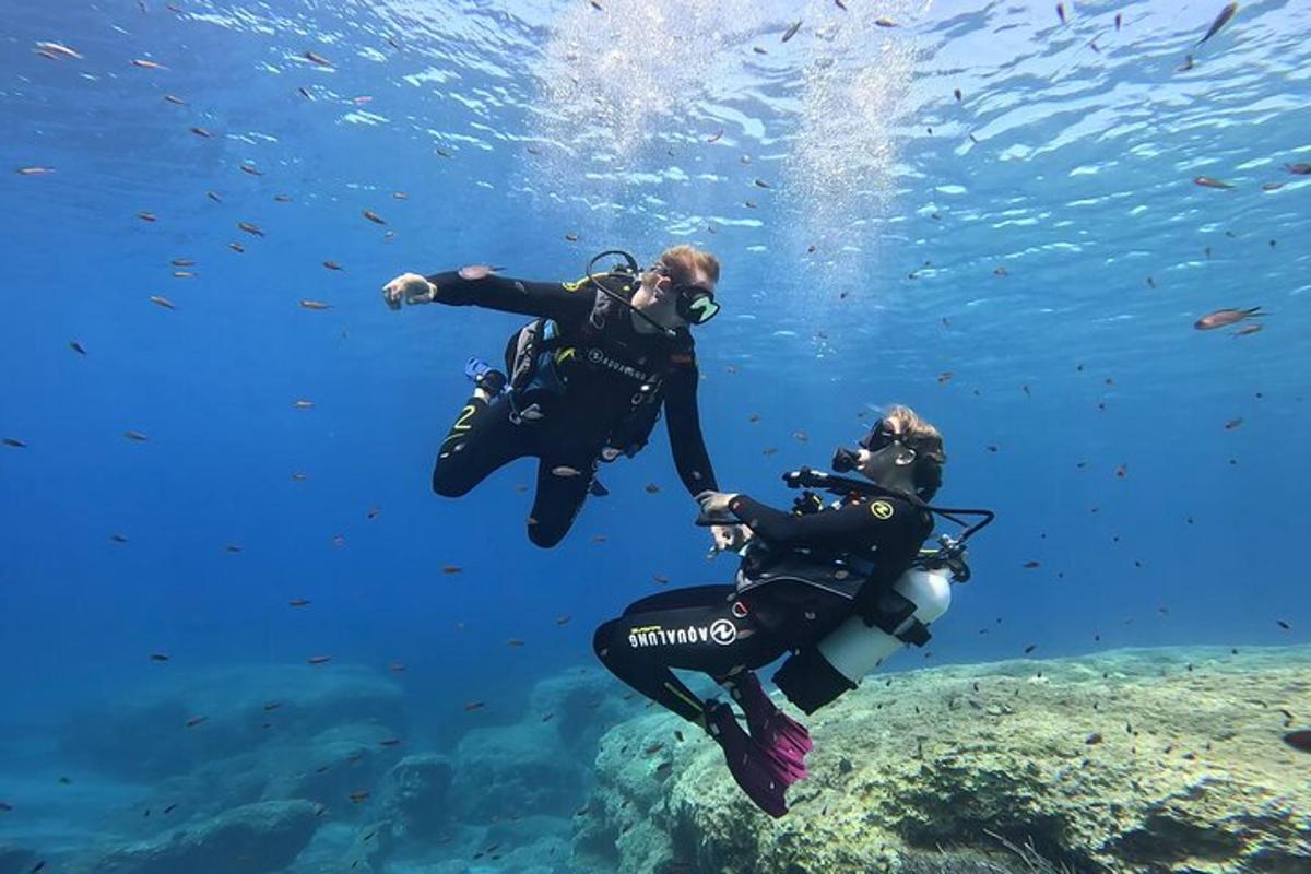 dua orang sedang berenang di air dekat terumbu karang